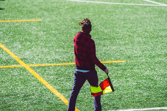 铺平道路 铺平道路