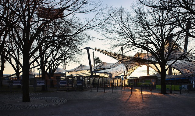 进丹麦中场 进丹麦中场