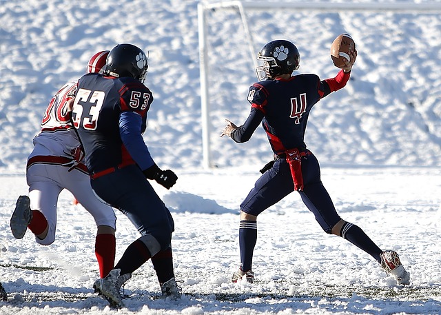 ​广州队申请主场重返越秀山 目前只待中国足协确认.