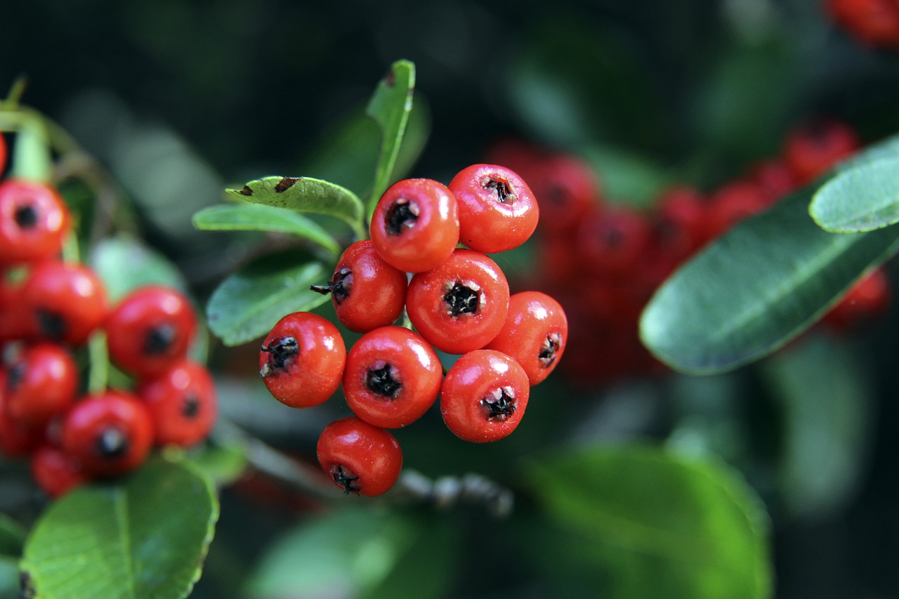 利而载入史 利而载入史